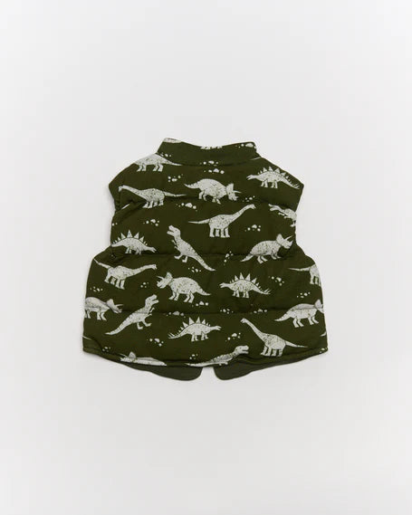Liam Vest | Dino