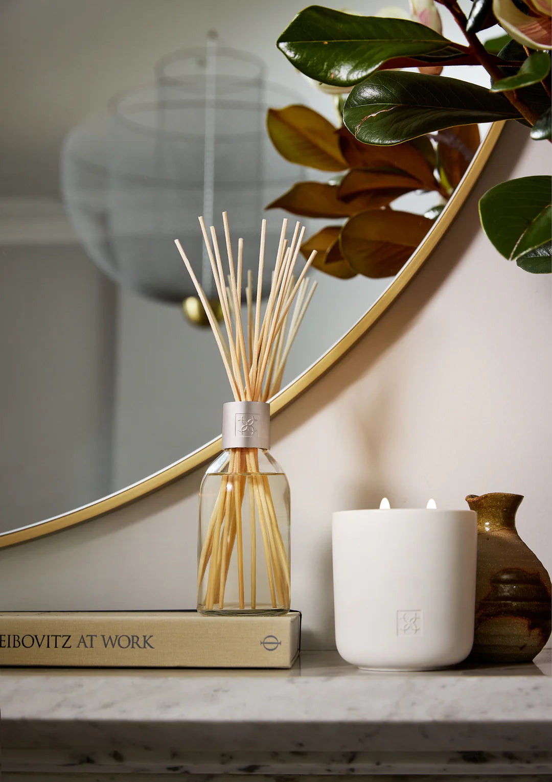 Circa Coconut & Watermelon Fragrance Diffuser 250mL
