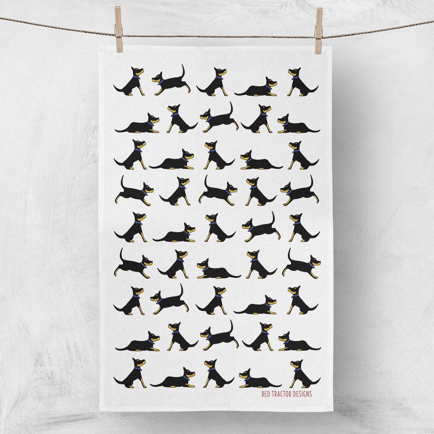 Black and Tan Kelpies on White Tea Towel