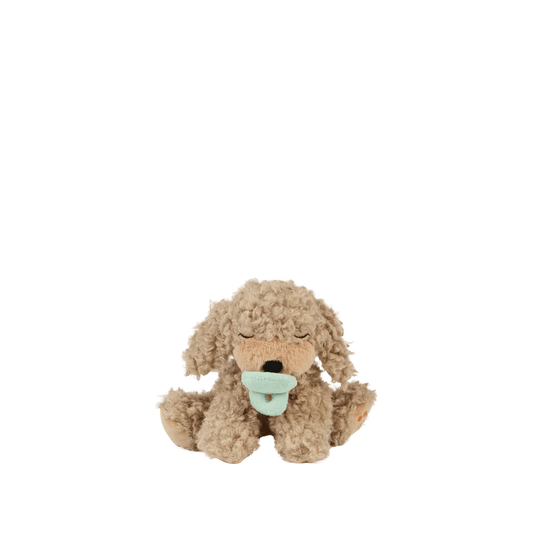 Binky Puppy - Benny