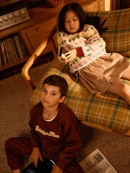 Comfy Chestnut Embroidered Sweater