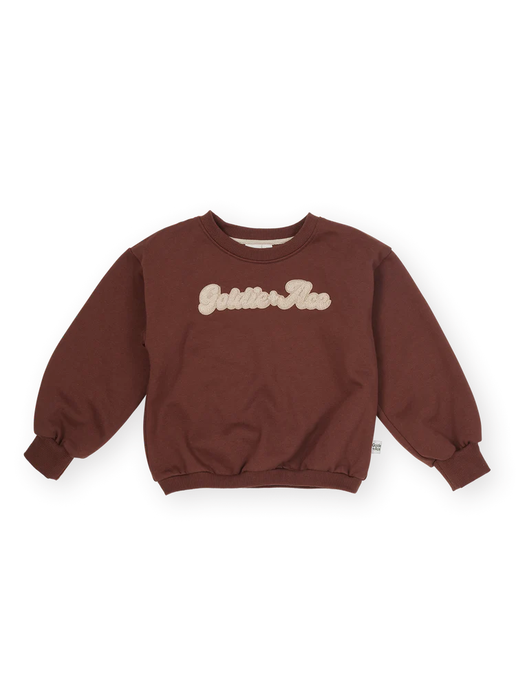 Comfy Chestnut Embroidered Sweater