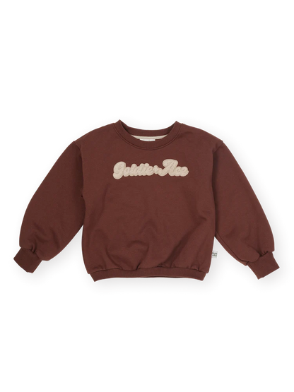 Comfy Chestnut Embroidered Sweater