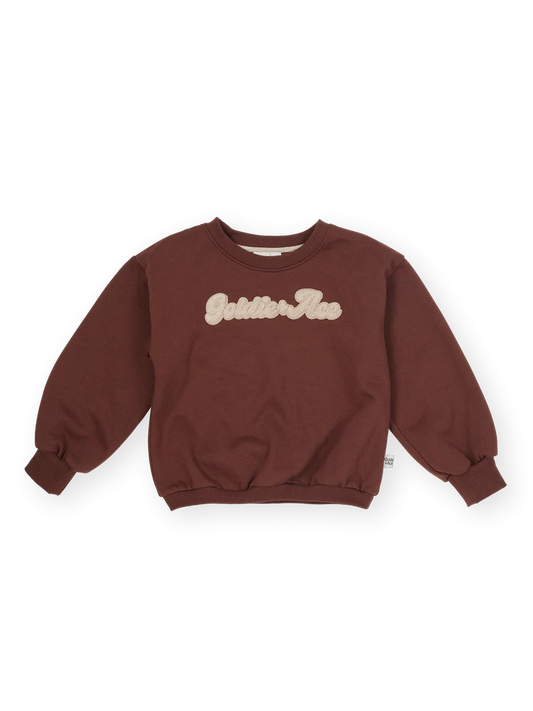 Comfy Chestnut Embroidered Sweater