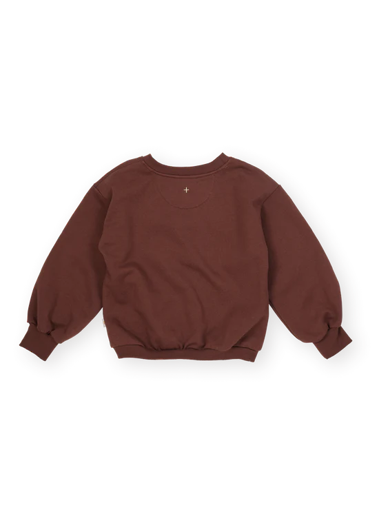 Comfy Chestnut Embroidered Sweater