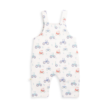 Harvest Time Overalls