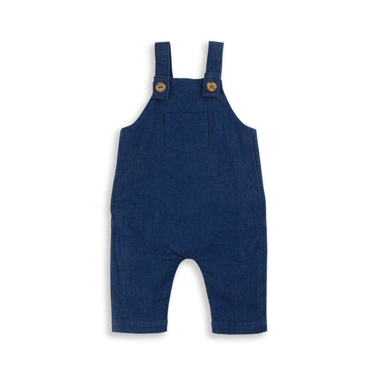 Boys Denim Overalls