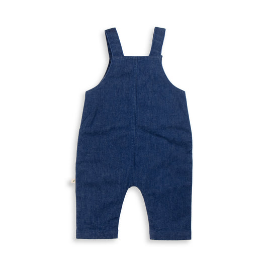 Boys Denim Overalls