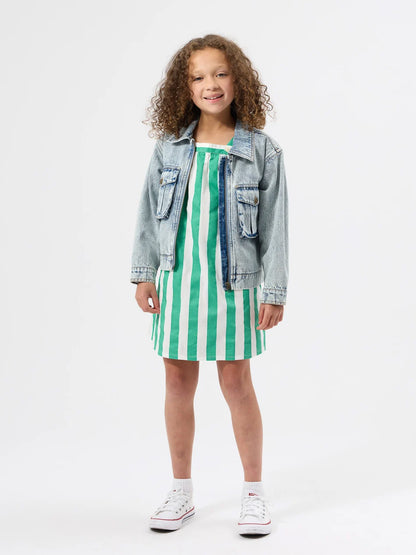 Happy Stripe A-Line Dress