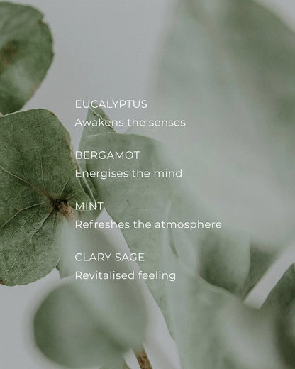 Circa Eucalyptus & Bergamot Candle - 300g