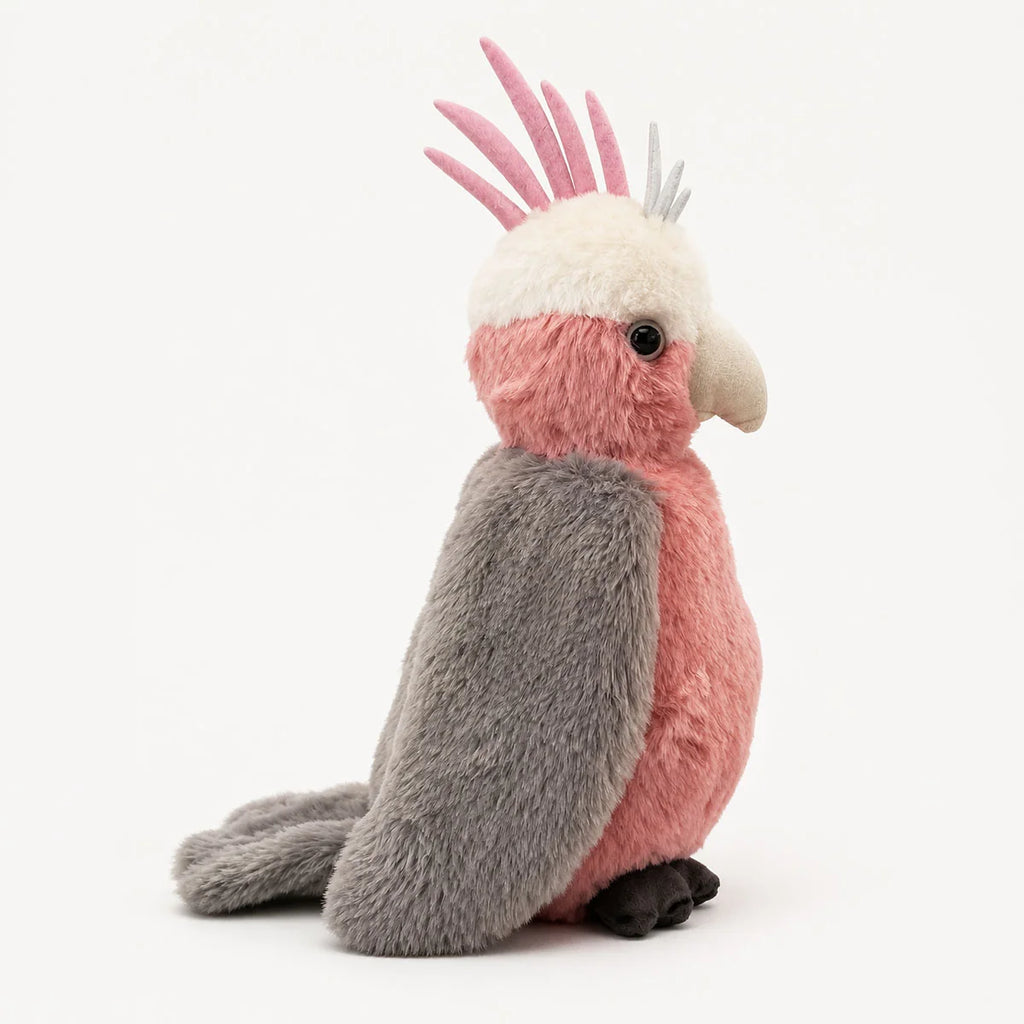 Furfolk Galah