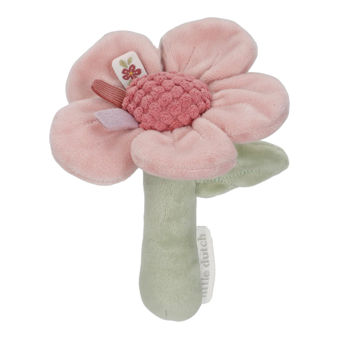 Baby's Rattle Flower