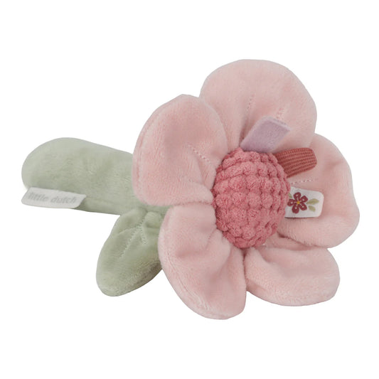 Baby's Rattle Flower