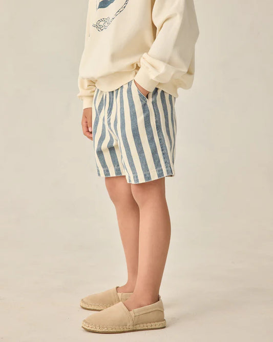 Dawson Short - Navy Stripe