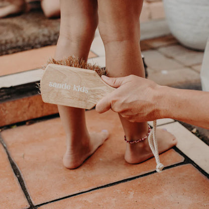Beach Sand Brush