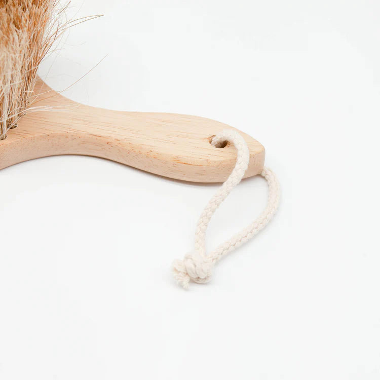 Beach Sand Brush