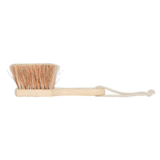 Beach Sand Brush