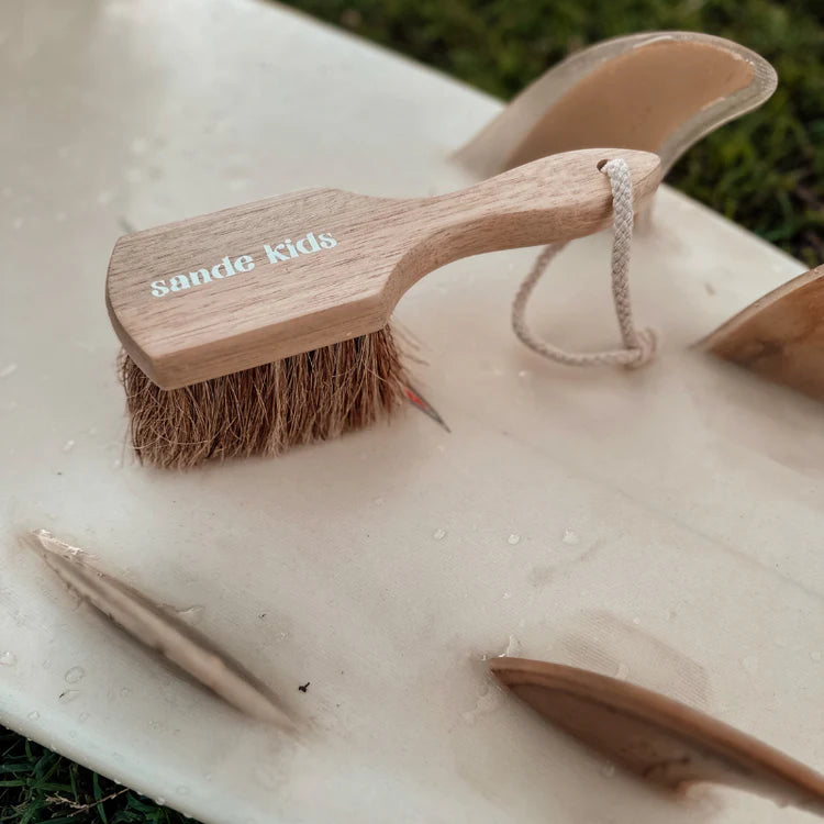 Beach Sand Brush