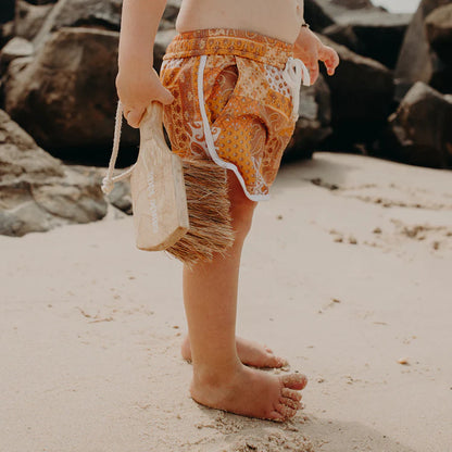 Beach Sand Brush