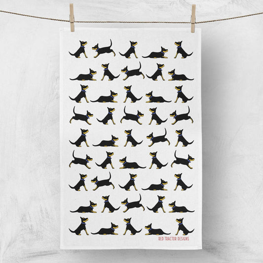 Black and Tan Kelpies on White Tea Towel