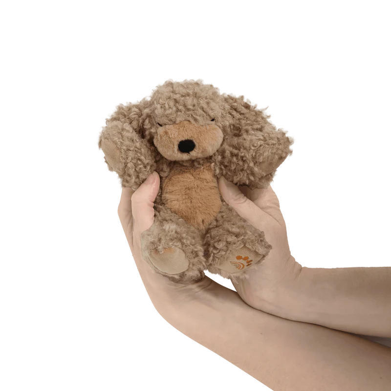 Binky Puppy - Benny