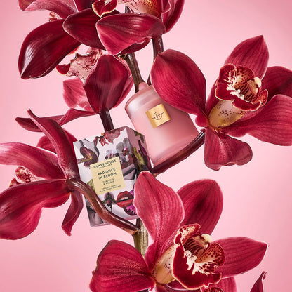 Glasshouse Radiance in Bloom Candle - 380g