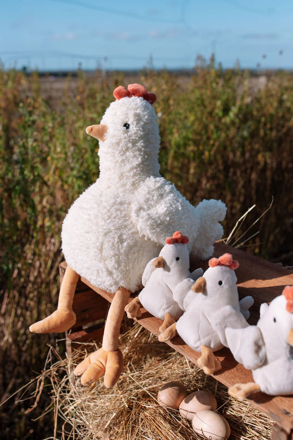Henrietta the Hen