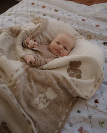 Teddy Bear Knit Blanket